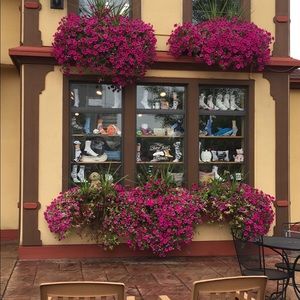 Meet your Posher, Hanan